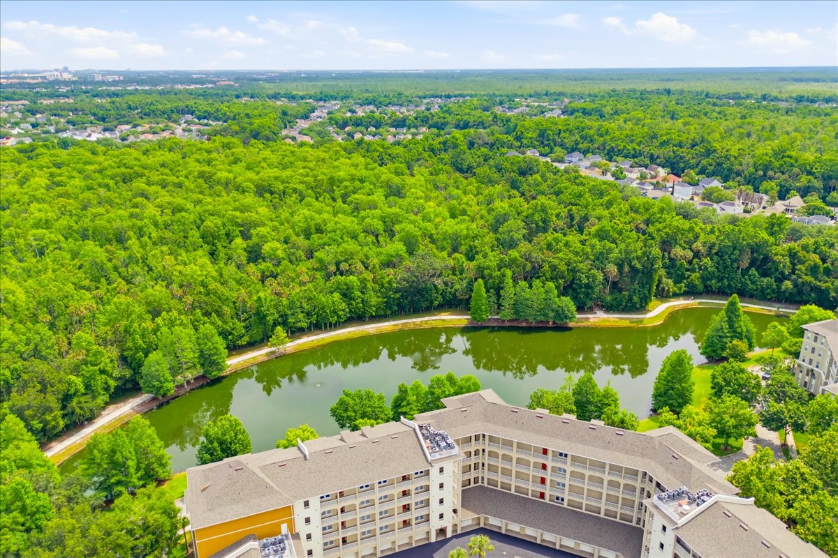 Aerial view of the surrounding forest canopy and rear pond